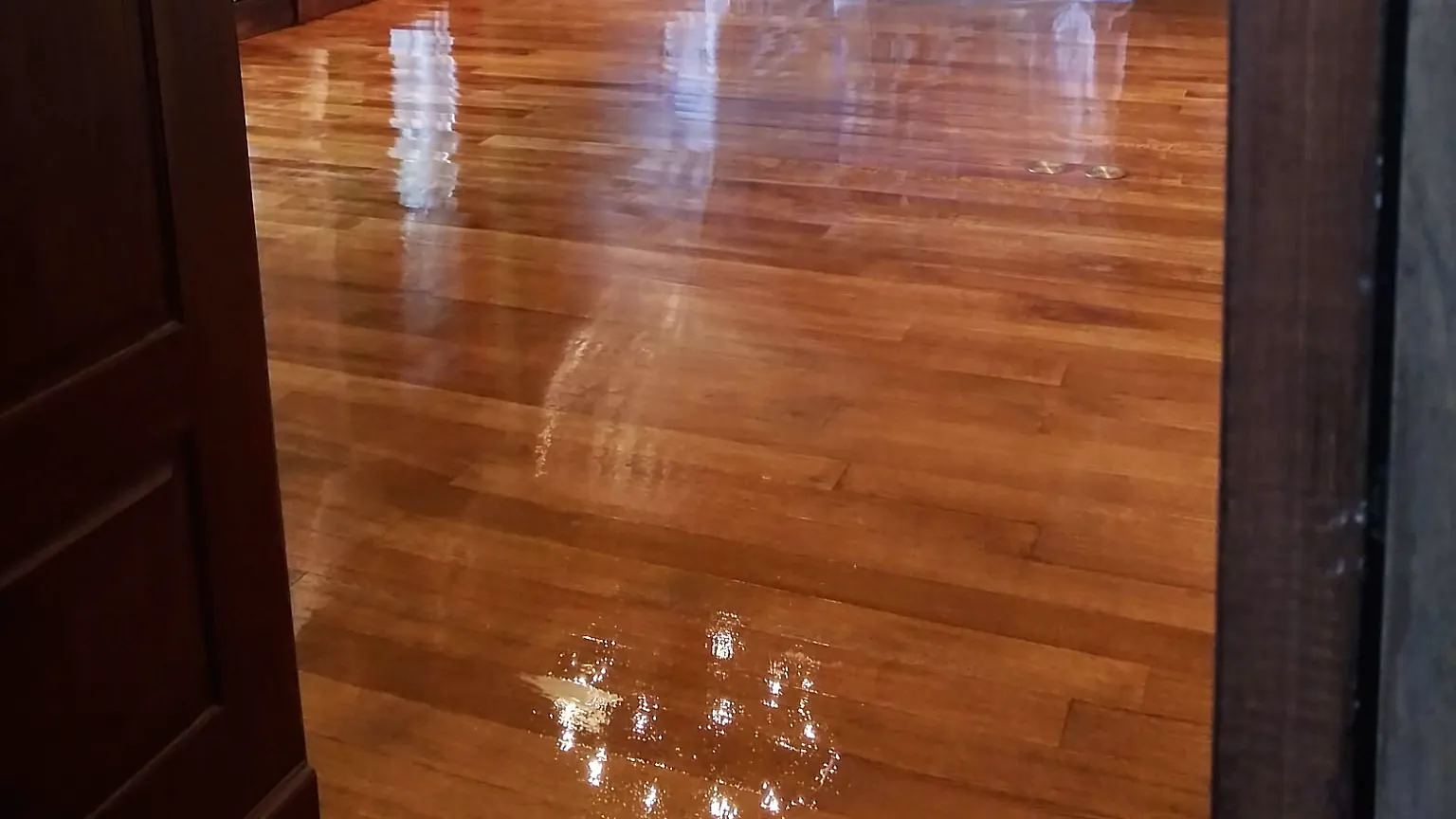 Refinished hardwood floor with a high-gloss finish